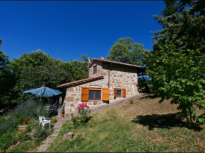 Typical little Italian property in the middle of fruit trees